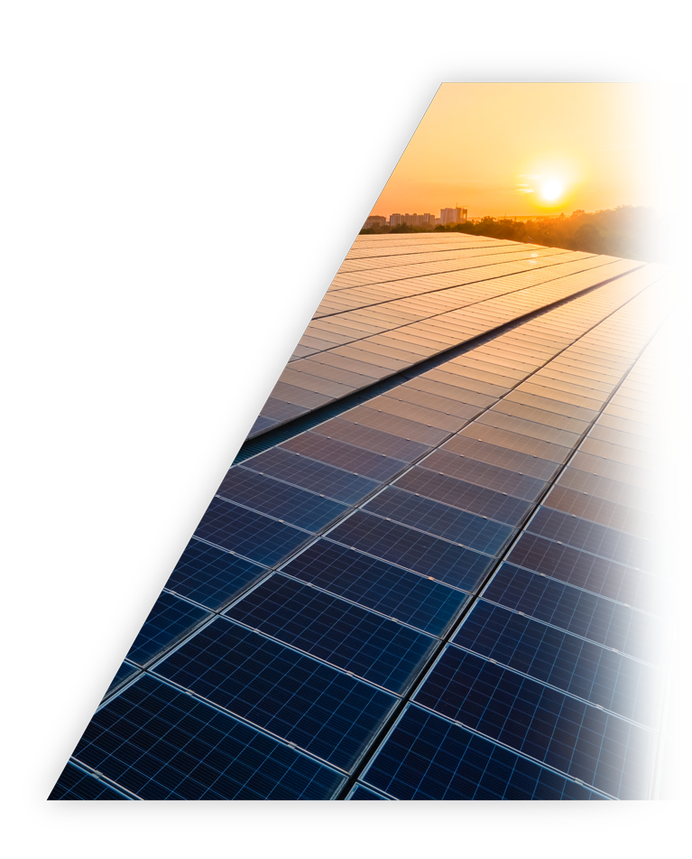 D88尊龙(中国区)官方网站